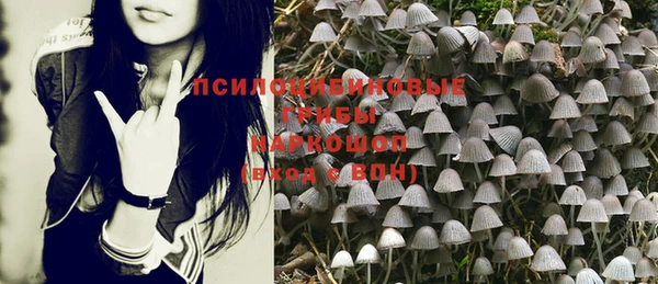 эйфоретик Липки