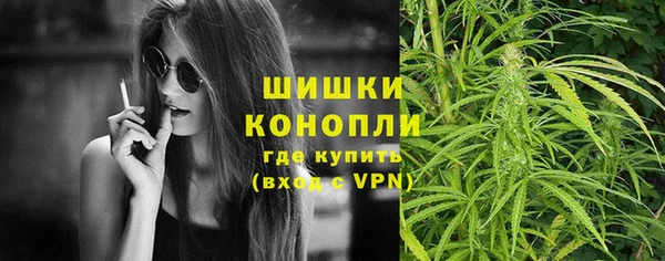эйфоретик Липки