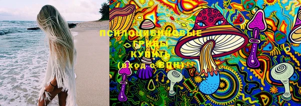 эйфоретик Липки