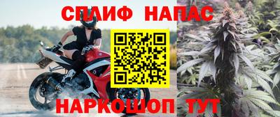 гидропоника Камышлов